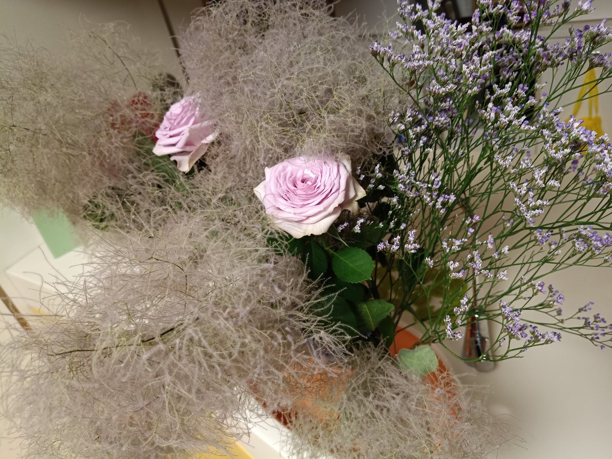 HandsomeBeans's tweet photo. すぐにドライフラワーにするから、見た目は最低限に整えてもらったけど、こうして花瓶に整えるとスモークツリーピンクってスゴい存在感。 https://t.co/W5glP6lmY0