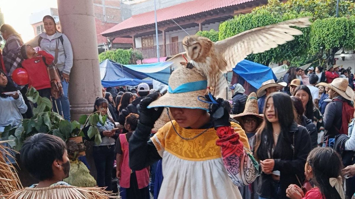 YoAmoaLaCiencia's tweet photo. Así el maltrato de animales bebés en Cherán.

¿Dónde está Mariana Boy? ¿Dónde está la PROFEPA? https://t.co/0oZLNRhnaC