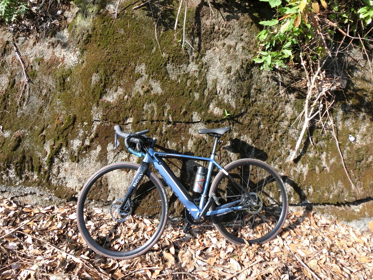 charinco_off's tweet photo. 台風一過🌀で晴れ間が出たので、BESV JR1で道路確認も兼ねて走って来ました🚴
BESV JR1 ハイ、激坂でもへっちゃらですぅ~😘
#cateye #ogkkabuto #パワープロダクション #jucola
#レックマウント #vittoriaridearmor #bikeguy
#ワコーズ #aggressivedesign #besv #jr1 #Glico
#ちゃりん娘 https://t.co/ViPtVCMhYr