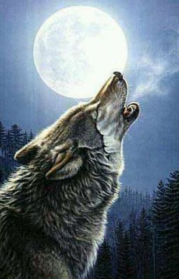 tk_freen's tweet photo. @selmamellark98 @Grace_DeMadelin Ando en celo compa y mi mujer no me quiere ayudar https://t.co/o3PALznfNe