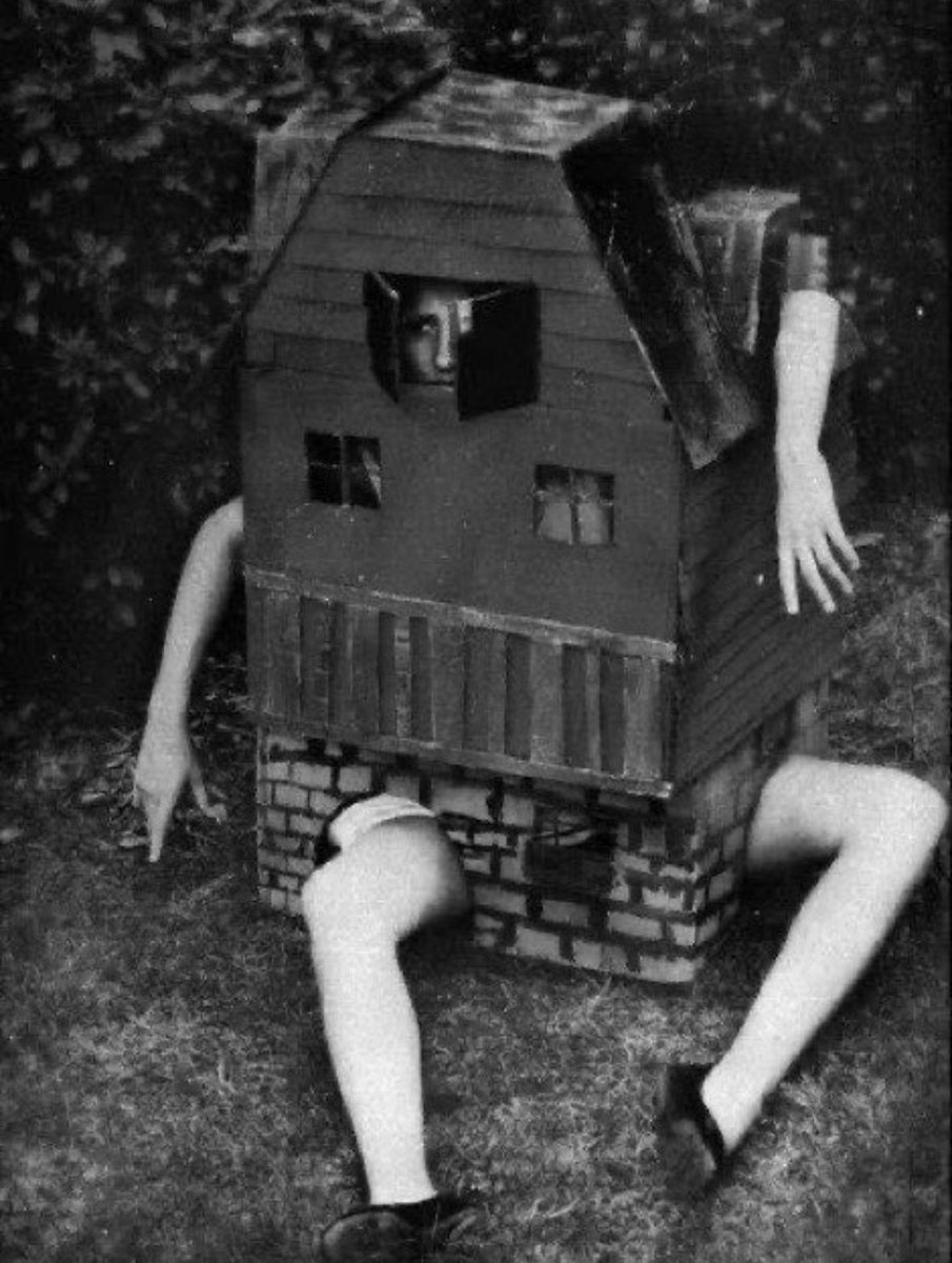 brainrotgorl's tweet photo. sometimes i just feel like this https://t.co/9PaVdOPRII