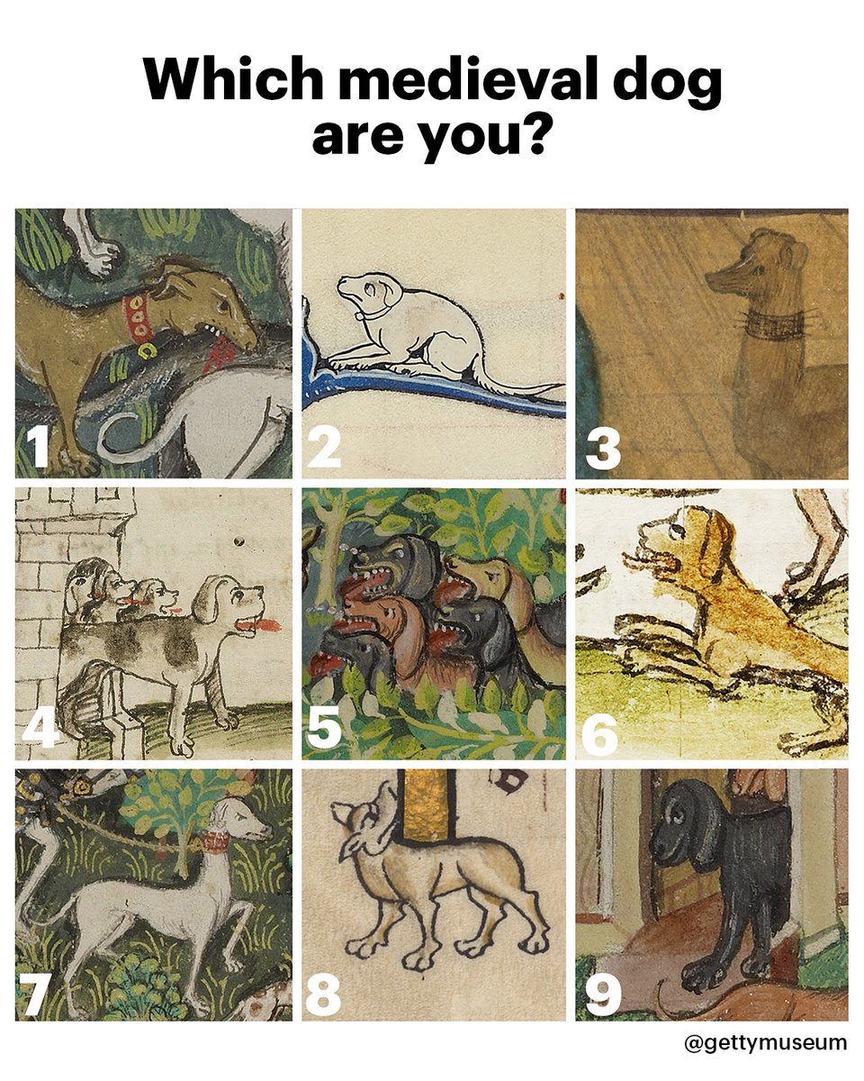 GettyMuseum's tweet photo. Which medieval dog are you? https://t.co/KmtrRZ1Lyb