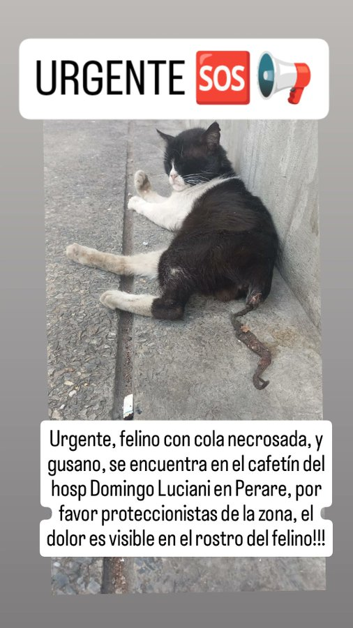 zulbeamarts's tweet photo. 🚨🚨🚨🚨😢😭🙏👇 https://t.co/RxBRC3o8Yw