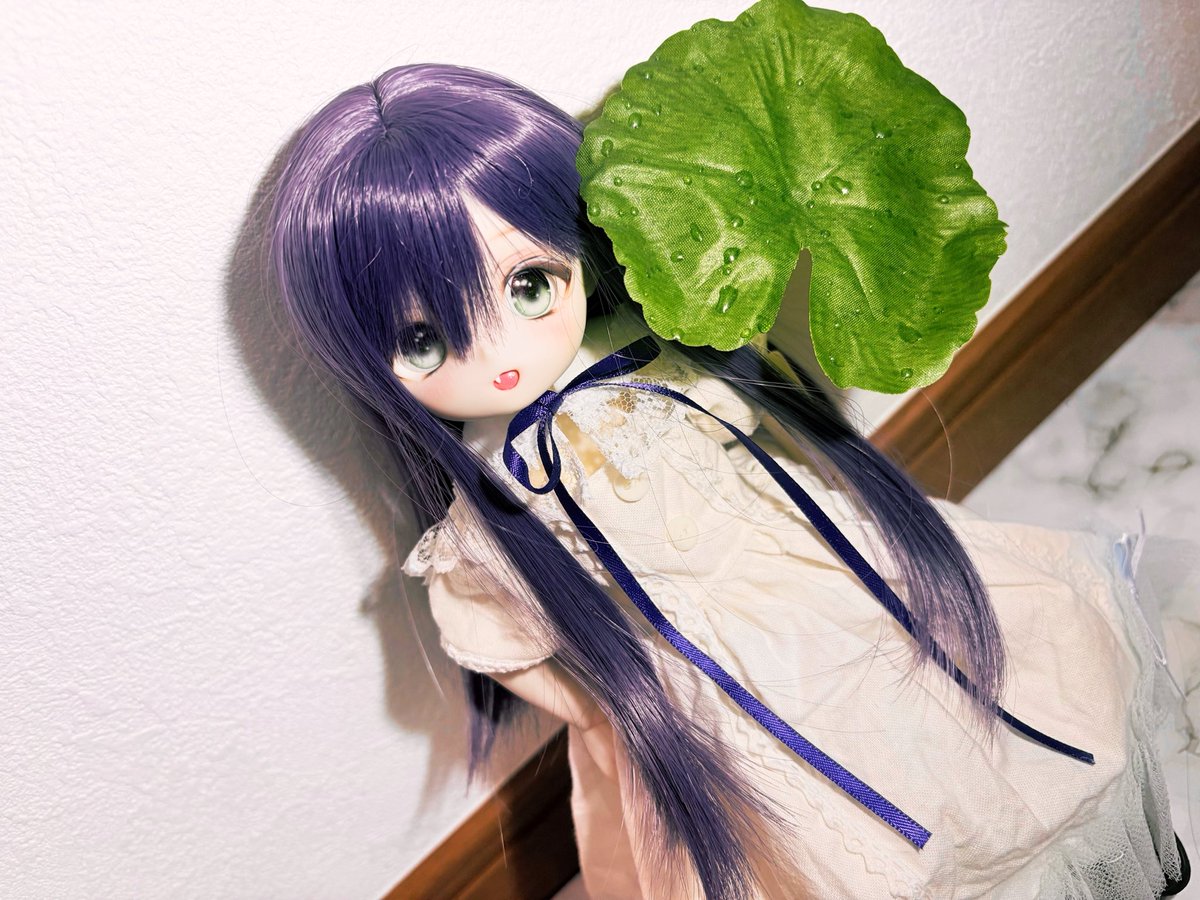suzuran_d0ll's tweet photo. #おはドル
 #ぽこっ子 ｢これ❓傘だよ🌱☂️｣ https://t.co/1GtRm60tFF