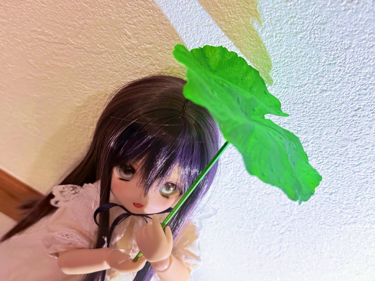suzuran_d0ll's tweet photo. #おはドル
 #ぽこっ子 ｢これ❓傘だよ🌱☂️｣ https://t.co/1GtRm60tFF