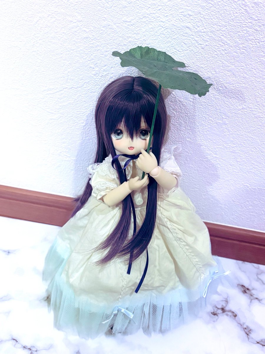 suzuran_d0ll's tweet photo. #おはドル
 #ぽこっ子 ｢これ❓傘だよ🌱☂️｣ https://t.co/1GtRm60tFF