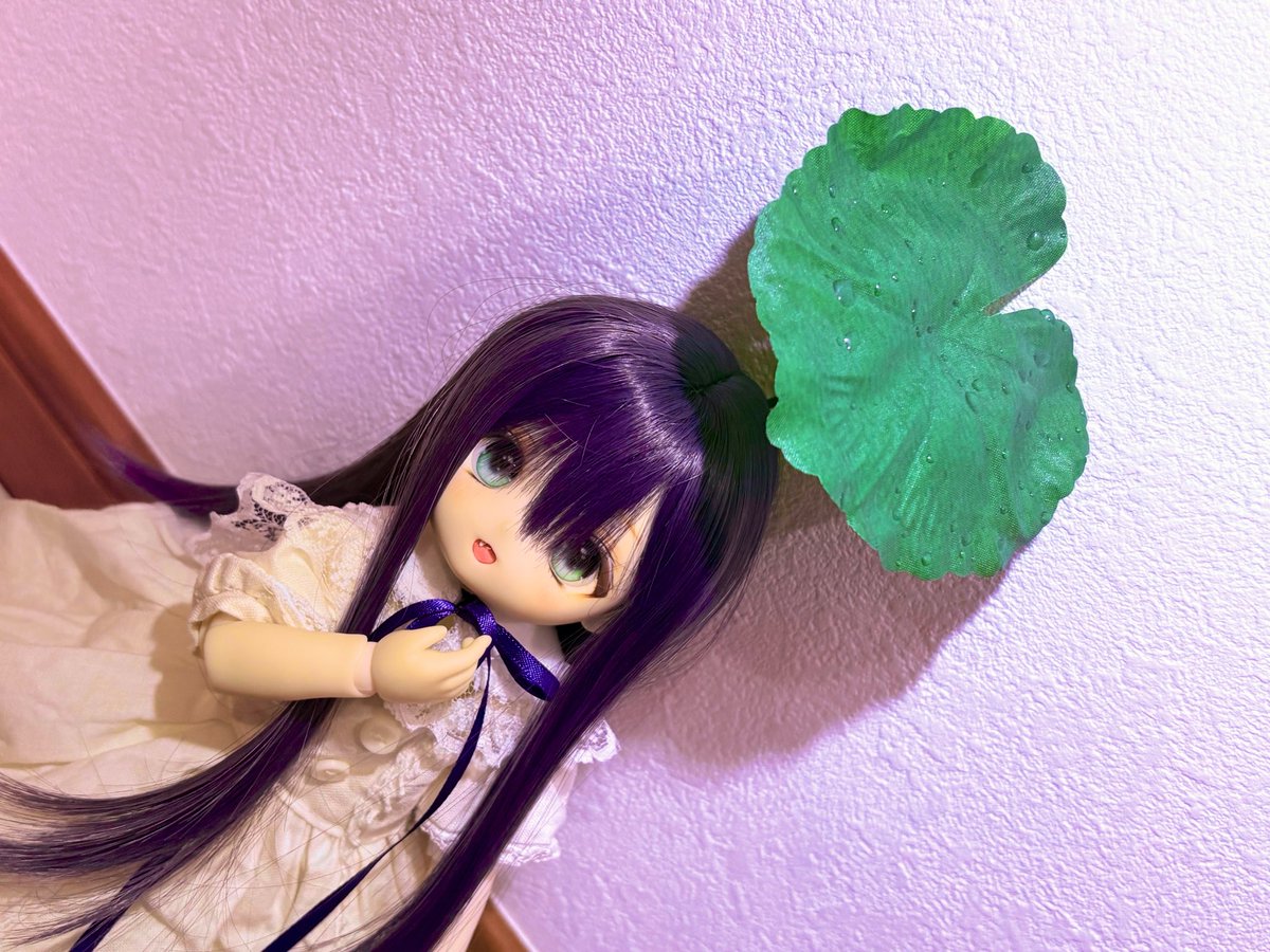 suzuran_d0ll's tweet photo. #おはドル
 #ぽこっ子 ｢これ❓傘だよ🌱☂️｣ https://t.co/1GtRm60tFF