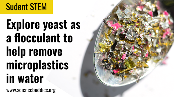 ScienceBuddies's tweet photo. Model bioremediation using yeast as a flocculant to remove microplastics in water.
https://t.co/dmrFbYV6YF

Thank you, @MilliporeSigma,  for supporting #sustainability projects &amp; student #STEM.

Reply or DM to share your #scienceproject

#scienceteacher #worldoceans #oceansday https://t.co/jZwSWFLhzG