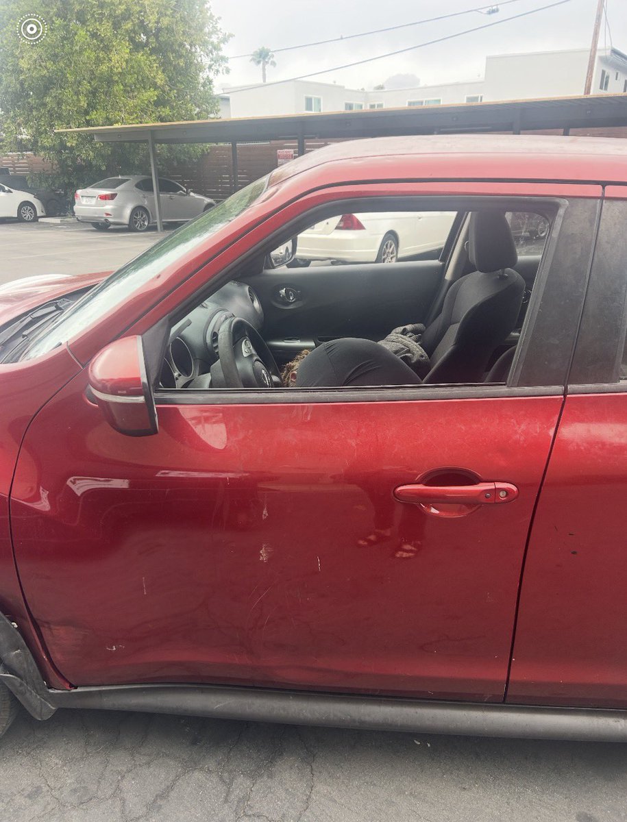 politicsofamy's tweet photo. Our neighborhood crackhead made it thru the gates but passed out from fentanyl WHILE driving. 

He usually ties his dog to his car in 100° heat while he does drugs. You can see his dog now has a major injury.

This is in my yard. This IS happening @MayorOfLA @spencerpratt https://t.co/w71R2kY8fn