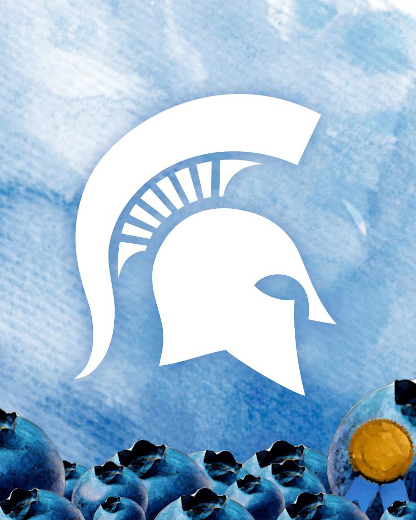 michiganstateu's tweet photo. Blueberries were first cultivated commercially in Michigan in the 1920s after MSU professor Stanley Johnson set up test plots throughout the state. Today, Michigan’s blueberry industry contributes more than $529M in economic activity annually, and MSU helps every step of the way. https://t.co/vGZsMcLlEi
