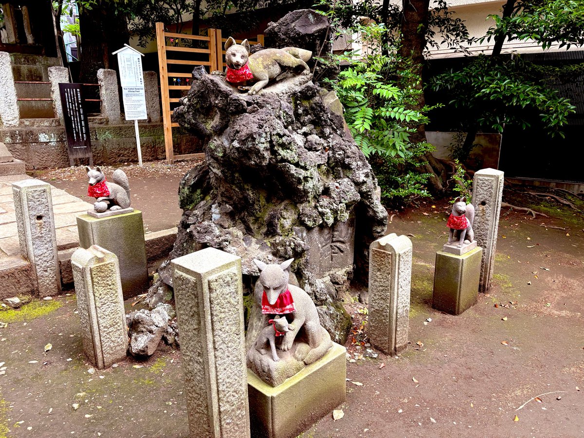 0412neko's tweet photo. 根津神社の境内の中には
駒込稲荷神社と乙女稲荷神社があったよ！

乙女稲荷神社は朱の色の
色鮮やかで綺麗な鳥居が連なってた✨

駒込稲荷神社は､お狐さまが
兎に角可愛いっ！お狐好きは必見っ🫶

広くて見応え抜群っ色んなとこに
鳥居あって､とりま四方に頭下げといたっ笑

本日も､ご安全にっ🍀 https://t.co/eZVqbor3lF