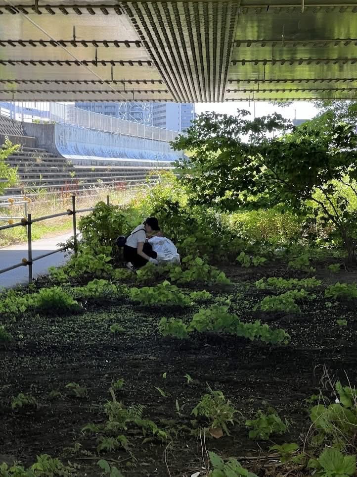 RiverCleanUpTKY's tweet photo. TRF will go after the trash under the Daishibashi bridge again this weekend with a Tamagawa River clean up event on Saturday. The details are as follows: https://t.co/2FvXbQ8qaz