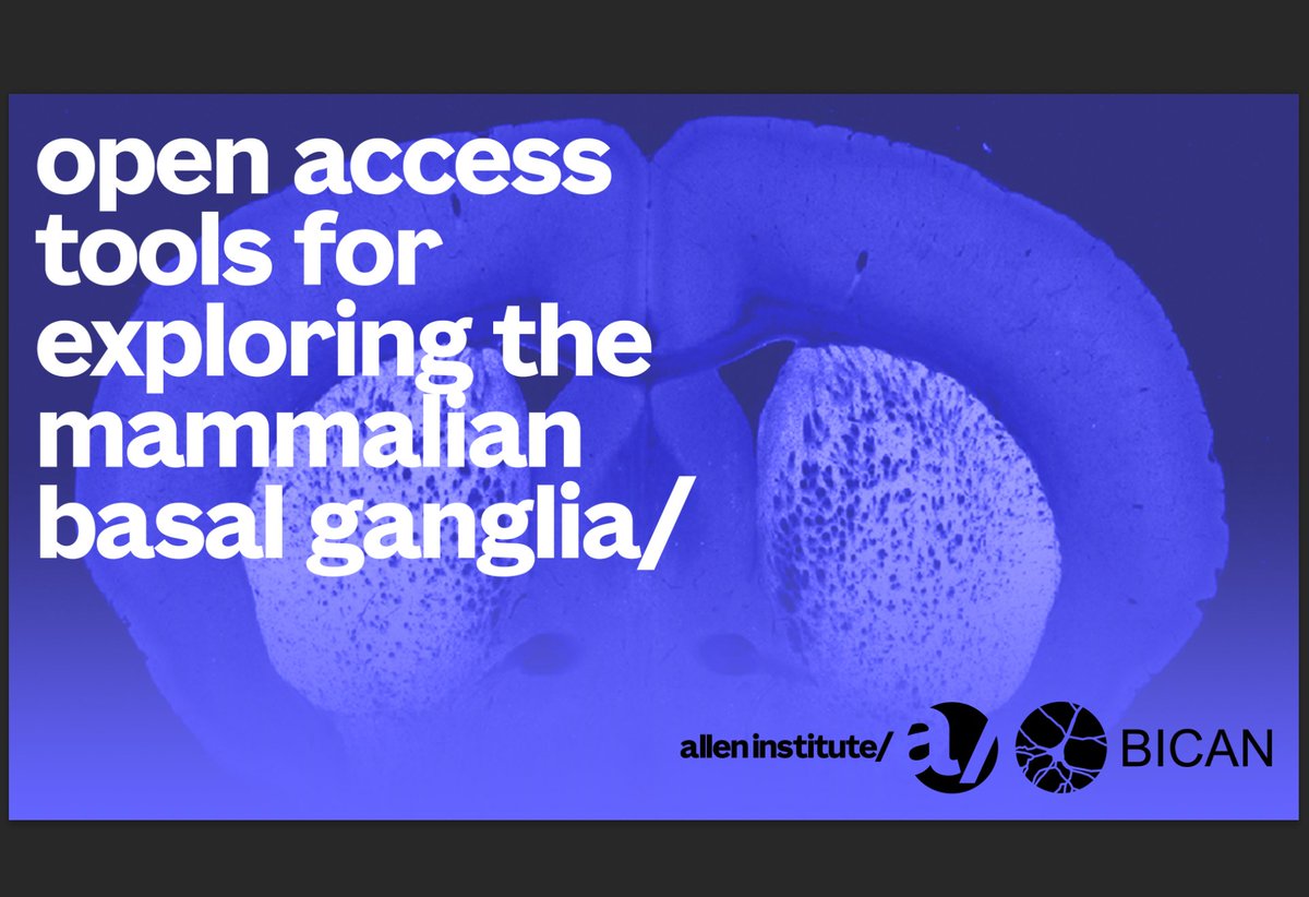 AllenInstitute's tweet photo. Join us June 16 for an interactive walkthrough of open-access tools for exploring mammalian basal ganglia data incl. Allen Brain Cell Atlas, MapMyCells, Cytosplore, and more.

🗓 June 16, 10:30–11:45am PST 
🙌 Virtual &amp; Free

Register: https://t.co/qe2jGSIrbb https://t.co/67rdd6XanM