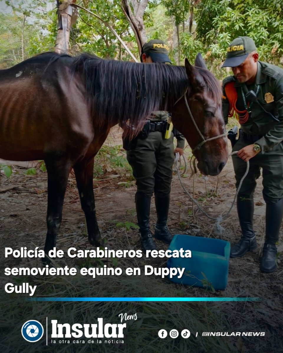 InsularNews's tweet photo. https://t.co/m2i3MaILBO @PoliciaSanyProv @PoliciaColombia https://t.co/So8EnzcrqZ