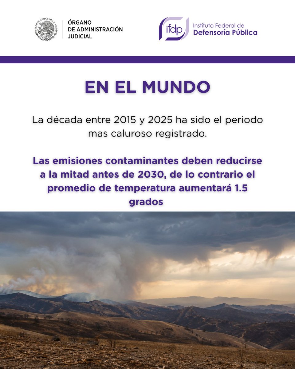 defensoriaifdp's tweet photo. 🌿 En el  #DíaMundialDelMedioAmbiente reafirmamos nuestra labor de defender el derecho a un entorno sano.

Contribuimos al acceso efectivo a la justicia ambiental ofreciendo representación federal, mediante amparos y acciones colectivas,  a personas, microempresas y sindicatos. https://t.co/Qpy3nusMII