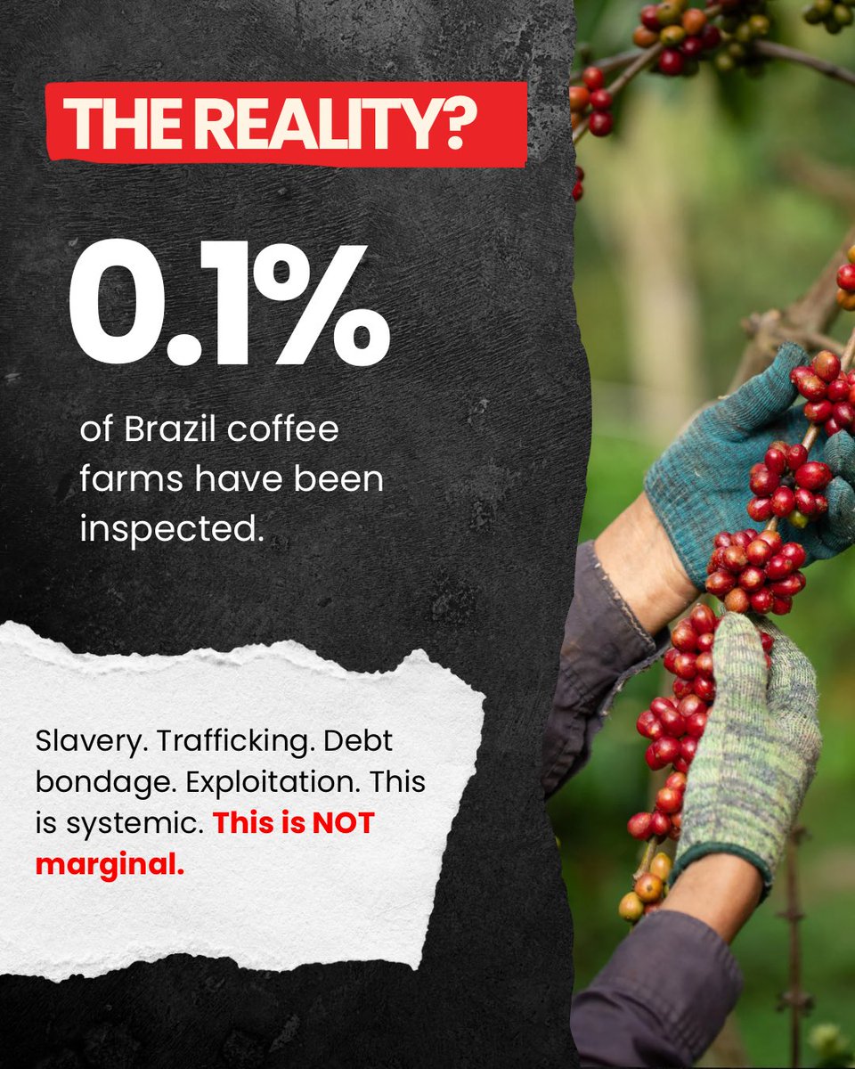 coffeewatchorg's tweet photo. In response to the Brazilian government's recent statement targeting organizations documenting forced labour in coffee supply chains: the issue is not the messengers. The issue is that workers continue to face exploitation. Protect workers. Address abuses. Demand accountability.  

👉Read Coffee Watch's response:
https://t.co/0FeU3IDAuS

👉Read ADERE's response:

https://t.co/zFULJjHYyi

👉Read the Business & Human Rights Resource Centre's reaction: https://t.co/CFuKzjujPL