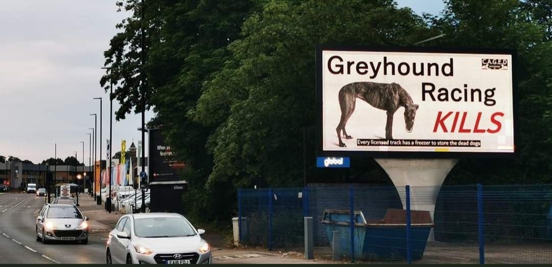 OMaggieG's tweet photo. Don’t go greyhound racing
Since 2001, Greyhound Racing 🇮🇪 has received €386,806,146 in grants, including €19 mill 24 
€19.82 mill 25 &amp; €19.82 mill  26

This is unacceptable and must be stopped

Back a ban on this dog-killing gambling activity. https://t.co/O1wXSKISBq