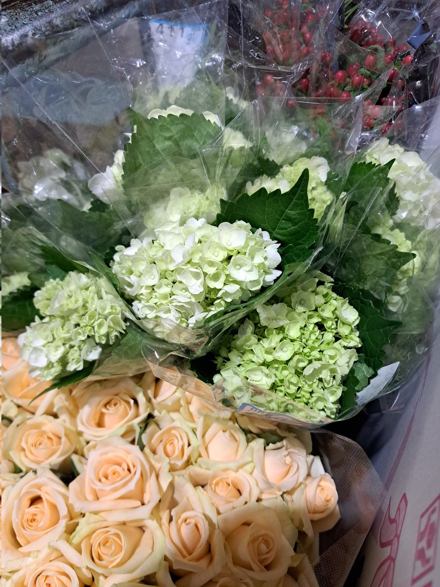 flowerkens's tweet photo. https://t.co/hyN0Kemav9
昨日お会いできた方々ありがとうございました！
6月はアジサイ飾って無病息災のおまじない月間です
おはようございます�� https://t.co/kt8rzX6S4F