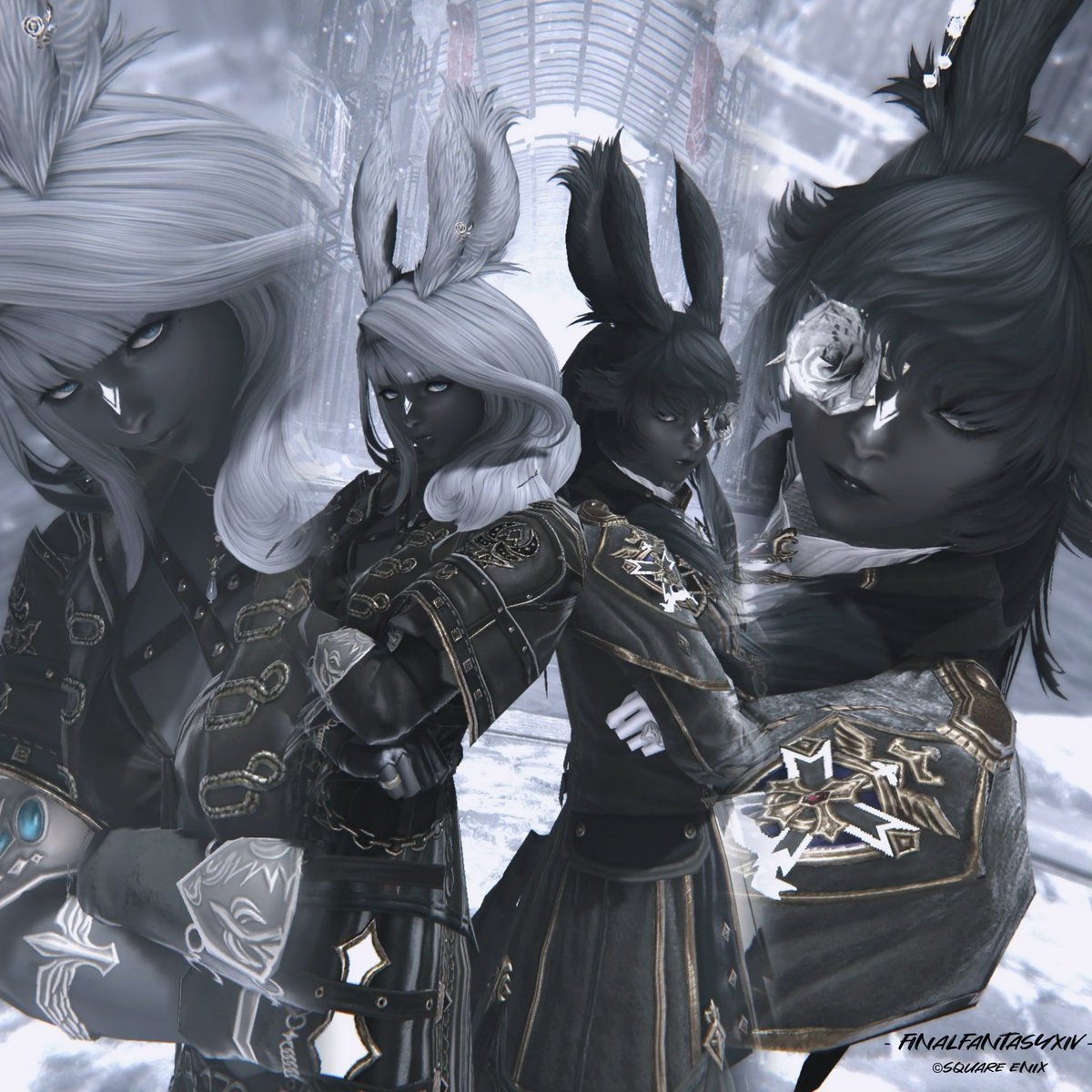 Met1y_'s tweet photo. Black Viera 🖤🐰ᩚ

#FF14  #おはウサ  #ヴィエラ  #1derviera https://t.co/yJ8DYvKcbd