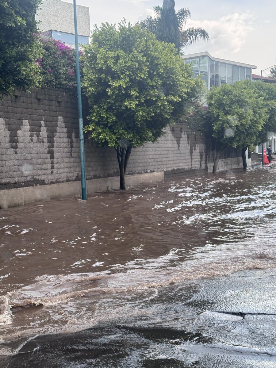 Rderruti's tweet photo. @carlosorvananos @cuajienlinea @CuajimalpaGob Eres delegado de Cuajimalpa o de Xochimilco???? Tienes todas las avenidas y calles como tu cara… https://t.co/OM5HY08tSV