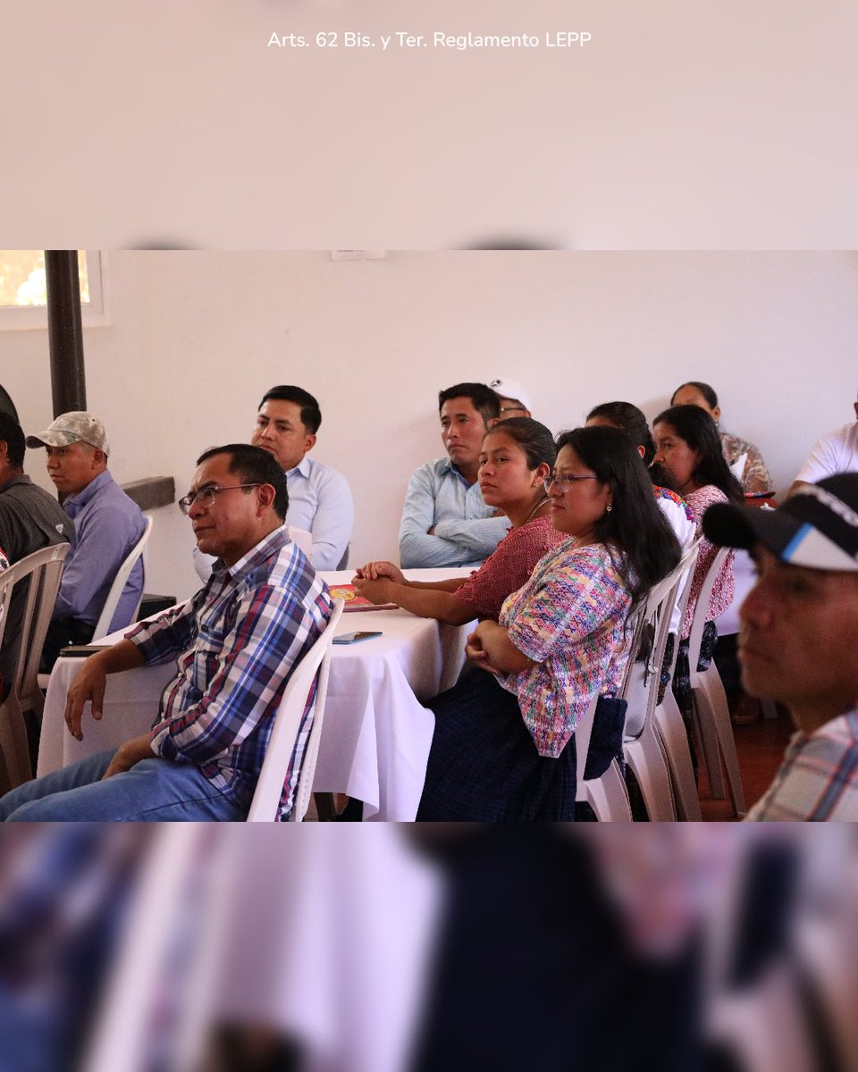 raicesguate's tweet photo. ¿Aún no te has adherido a Raíces? 🌱

 Súmate y sé parte de las Raíces del cambio que están creciendo en toda Guatemala. 🇬🇹 Adhiérete.

Arts. 62 Bis. y Ter. Reglamento LEPP https://t.co/tWww0dijzm