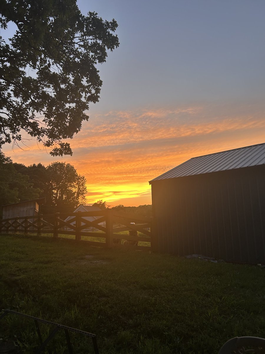 ShowXR's tweet photo. God is good

All the time https://t.co/umKEZDRd24