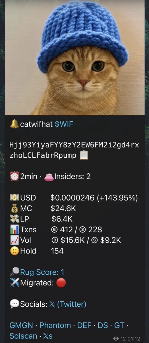 MemeTracker17's tweet photo. catwifhat $WIF

Free Telegram 🚀
https://t.co/krCM339gdB

Hjj93YiyaFYY8zY2EW6FM2i2gd4rxzhoLCLFabrRpump https://t.co/3S5LWicMYa