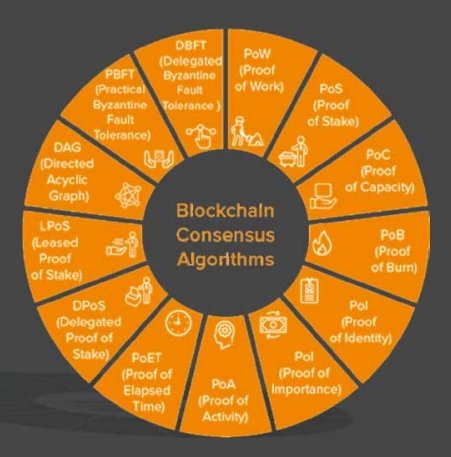 SdaCrypto83564's tweet photo. Major upgrades on the entire ecosystem is running and we are rolling out all new features

Major $SDA upgrades happening now :
https://t.co/1xxJVQqvut ✅ rolling out
https://t.co/FYB4cgULlM ⏭️ Next
https://t.co/Z5B20sKbpN 🔜 Soon

Thanks for all the support and the feedback ‼️🚨 https://t.co/5gvBz7Mh3a