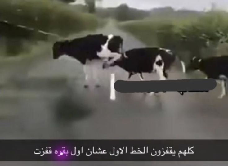troom9troom9's tweet photo. لمن تسأل المجتمع عن سبب عاداتهم الخطأ https://t.co/mrmC0KBVv5