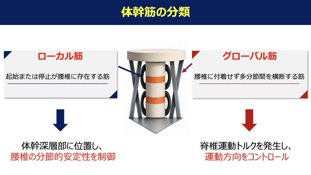 Spo_Lab's tweet photo. 瞬発的な動作は腹横筋の先行収縮が生じている。

腰椎分離症のリハビリテーション
運動療法×体外衝撃波の治療戦略
講師：つくばウェルネス整形外科　山口真吾
日時：2026.6.14 21:00〜オンライン開催
https://t.co/X7mbYl3DTK https://t.co/zGIE12BmYi