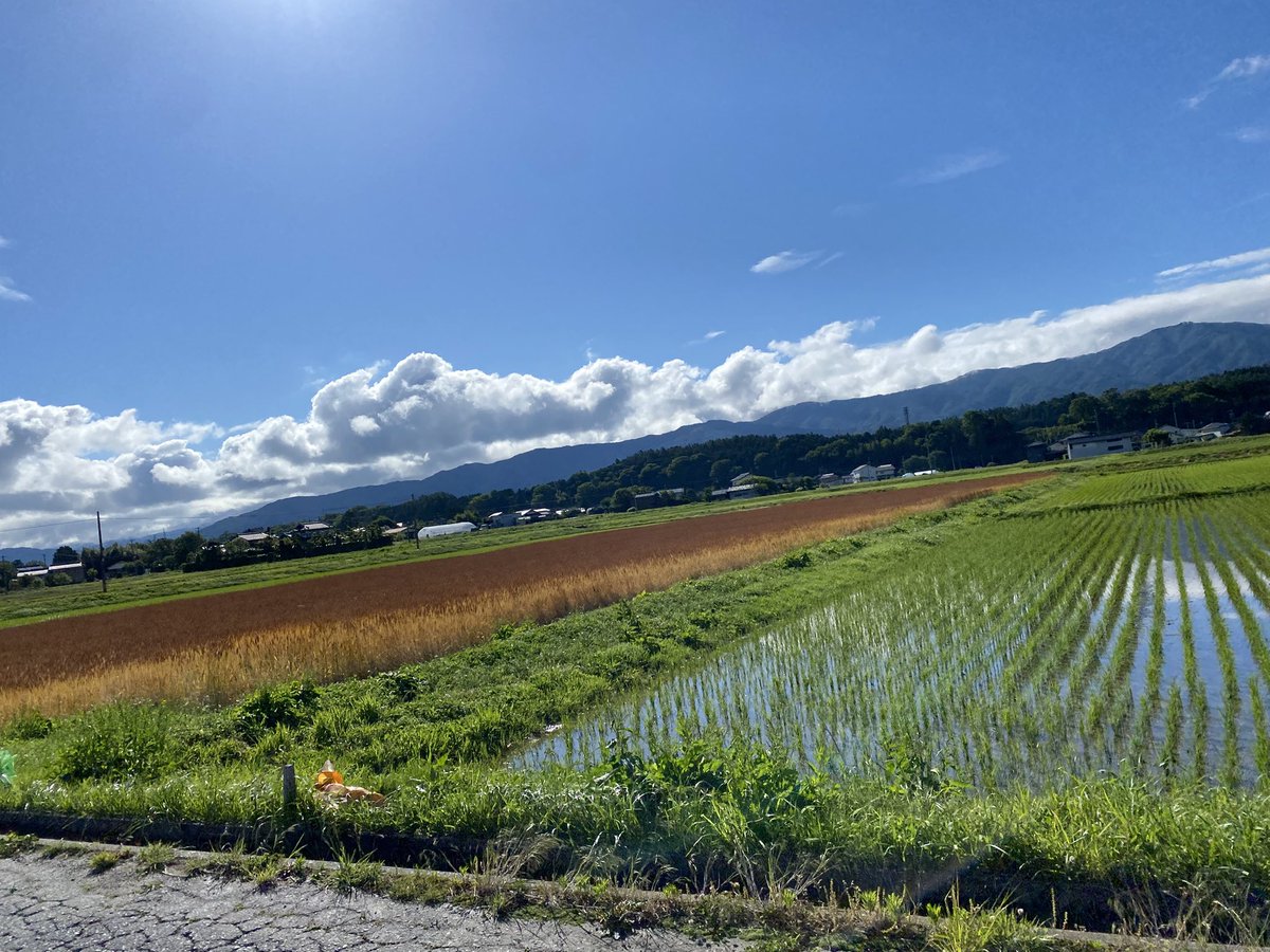 inadani49's tweet photo. おはよー！暑くなりそうな日差し
輪っか出来てる今朝の雲おもろ。 https://t.co/a2iN4N1eyT