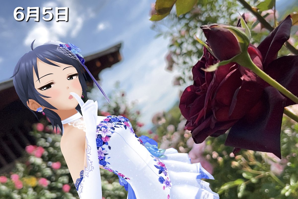 aroundoh's tweet photo. #るーみんひめくり
#デレスポAR
#シンデレラガール総選挙2026

一本木公園のバラ

デレステAR
和久井留美 https://t.co/BUhmiP0lQr