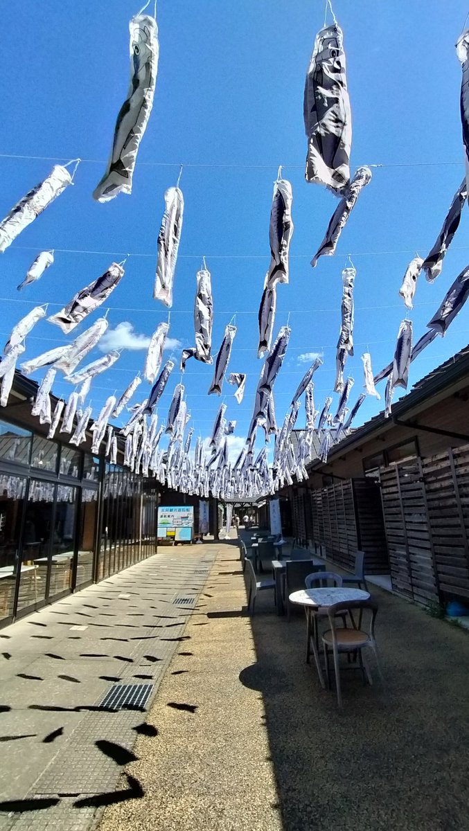 ts133895's tweet photo. After SSTR 2026  Memoirs 

2026.05.29. 13:10
道の駅 能登食祭市場からの移動途中
🅿️能越県境PA(下り線)にて
走行中に立山連峰⛰️が見え感動
氷見番屋街にてお昼休憩🍵

#sstr
#sstr2026
#triumph 
#streettwin 
#道の駅氷見番屋街 https://t.co/2y9a58RwLB