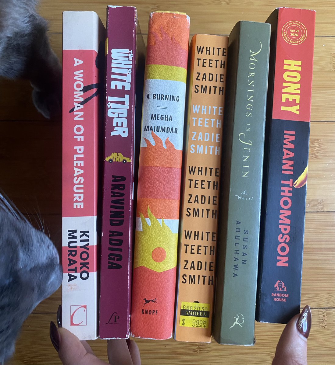 natrixian's tweet photo. My intuition told me, “TURN AROUND! Go a few blocks back to the thrift store you pass every day to check their books. I know you don’t need more books right now! Go anyway!” And all these gems were there waiting for me for $1 (I read the Abulhawa long ago but want to pass it on) https://t.co/0Ych0XLUyF