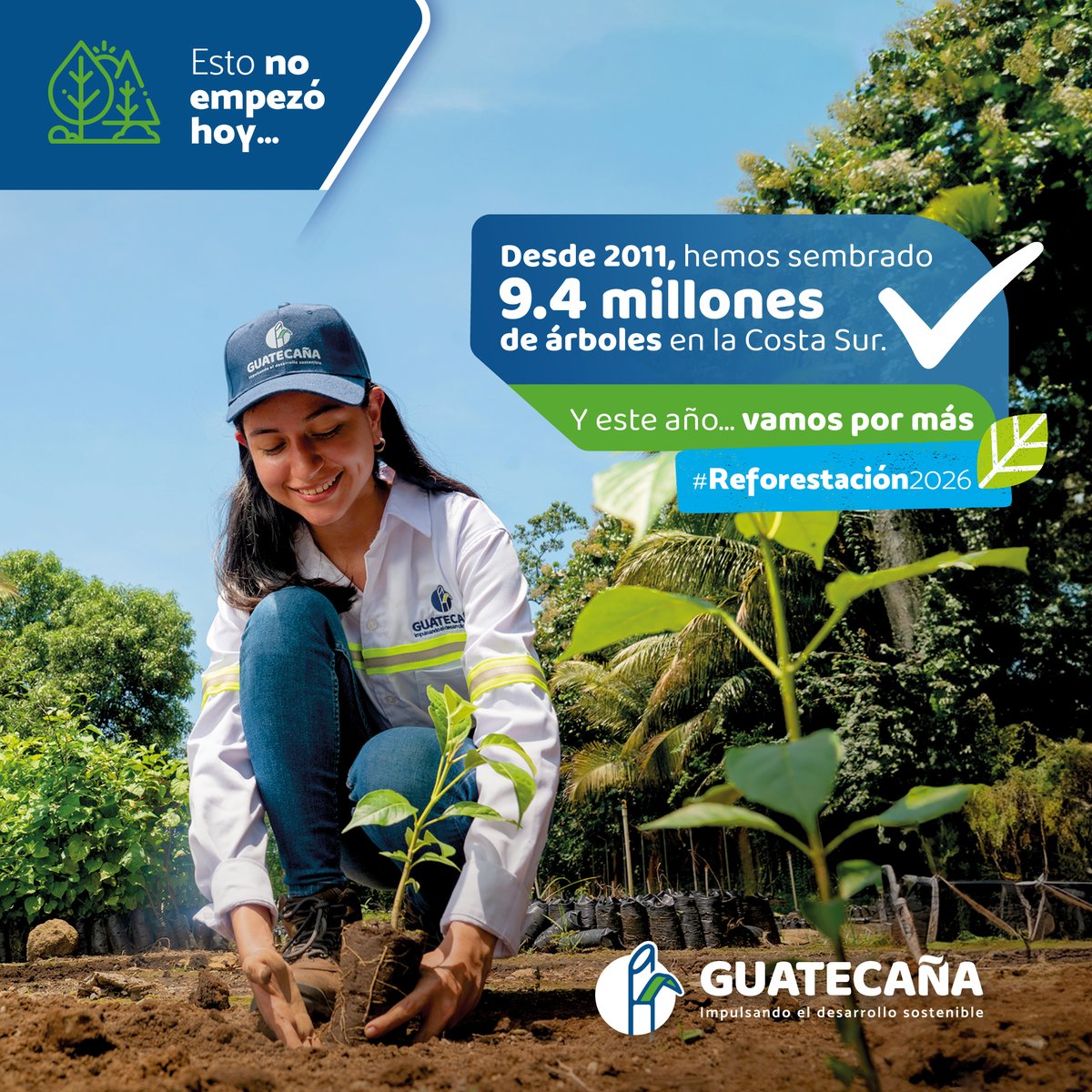 AsazguaGT's tweet photo. Desde 2011, hemos sembrado 9.4 millones de árboles en la Costa Sur, como parte de nuestro compromiso con la conservación de los recursos naturales y el desarrollo sostenible de la región.

Y este año… vamos por más 💚

#Reforestación2026 #Guatecaña #CostaSur #Ingenios https://t.co/bx9lyl09OE