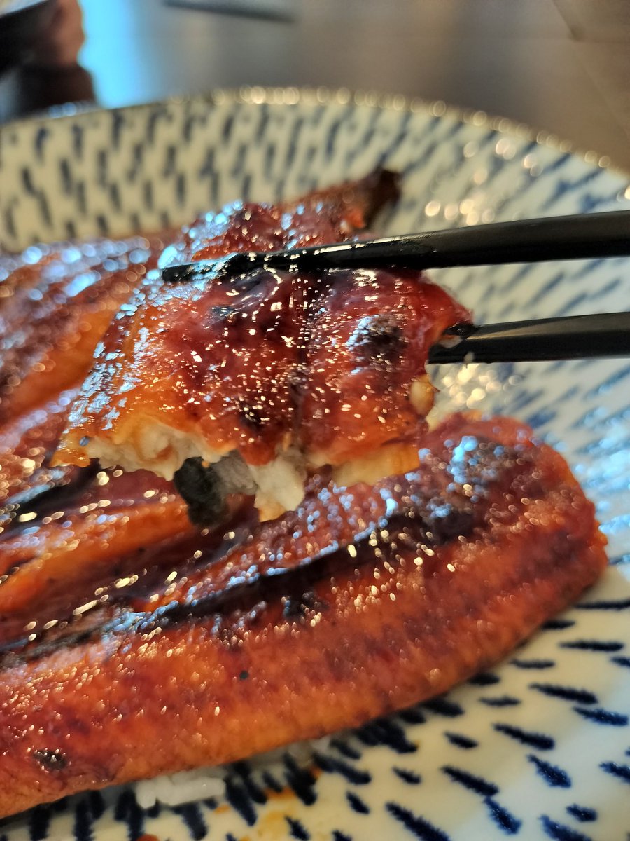watoka_diner's tweet photo. 6月5日（金）☀
【夏のスタミナ！うなぎ🉐】
・うな重　並（1/2尾）1960円〜

昨年は仕入れ値が高騰しすぎてお休みした「うなぎ」ですが、なんと…一昨年より約3割お得になりました！この機会にぜひ😊

お刺身やお蕎麦との組み合わせもオススメ✨

#柏ランチ https://t.co/CCJv1CBcjz