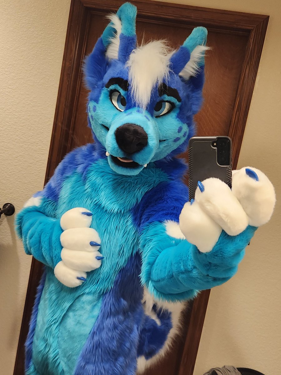 kaiserthebloo's tweet photo. Welcome to the world Kaiser 2.0! The team at @MadeFurYou did a truly incredible job. I love him so much and can't wait for the adventures that lie ahead 💙 https://t.co/typd4EbTz4