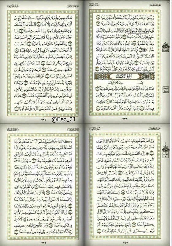 SEP 🇸🇦 tweet media