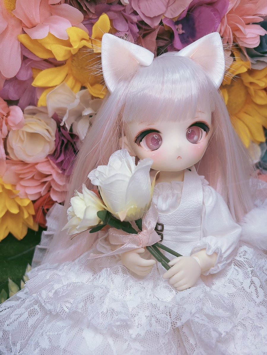 chocolat_doll_'s tweet photo. #mimiel_8th
8周年おめでとうございます✨️
サラサラで扱いやすいウィッグでお気に入りです！
ピンクのインナーウィッグが1番のお気に入りです🎀 https://t.co/PxQUJBgCEA