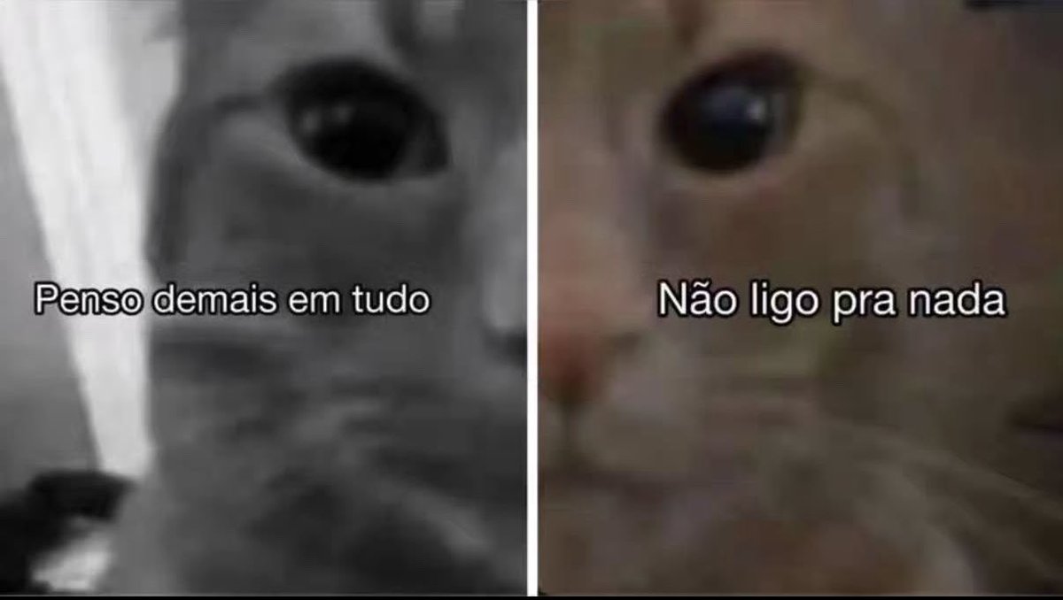 gatinarios's tweet photo. https://t.co/esjhGHGn77