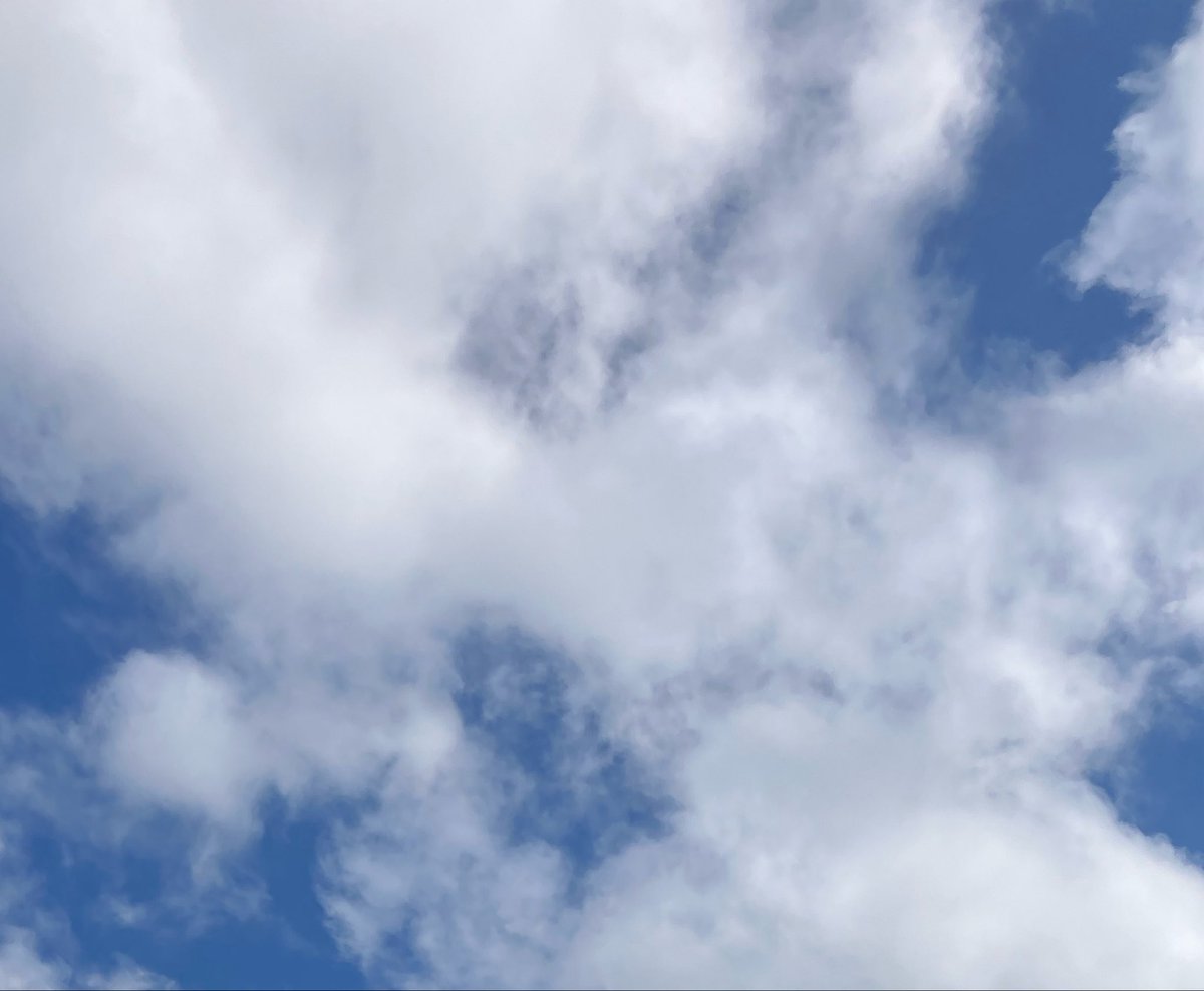 88boc's tweet photo. おはようございます
金曜日の空は
曇りのち晴れ🌤️

予定外の連勤だ
ふぁいと

🪴🌱🍕☕️✨
#空　#空を読む　#空が好き　#ファインダー越しの私の世界 https://t.co/lUZRrd5gTI