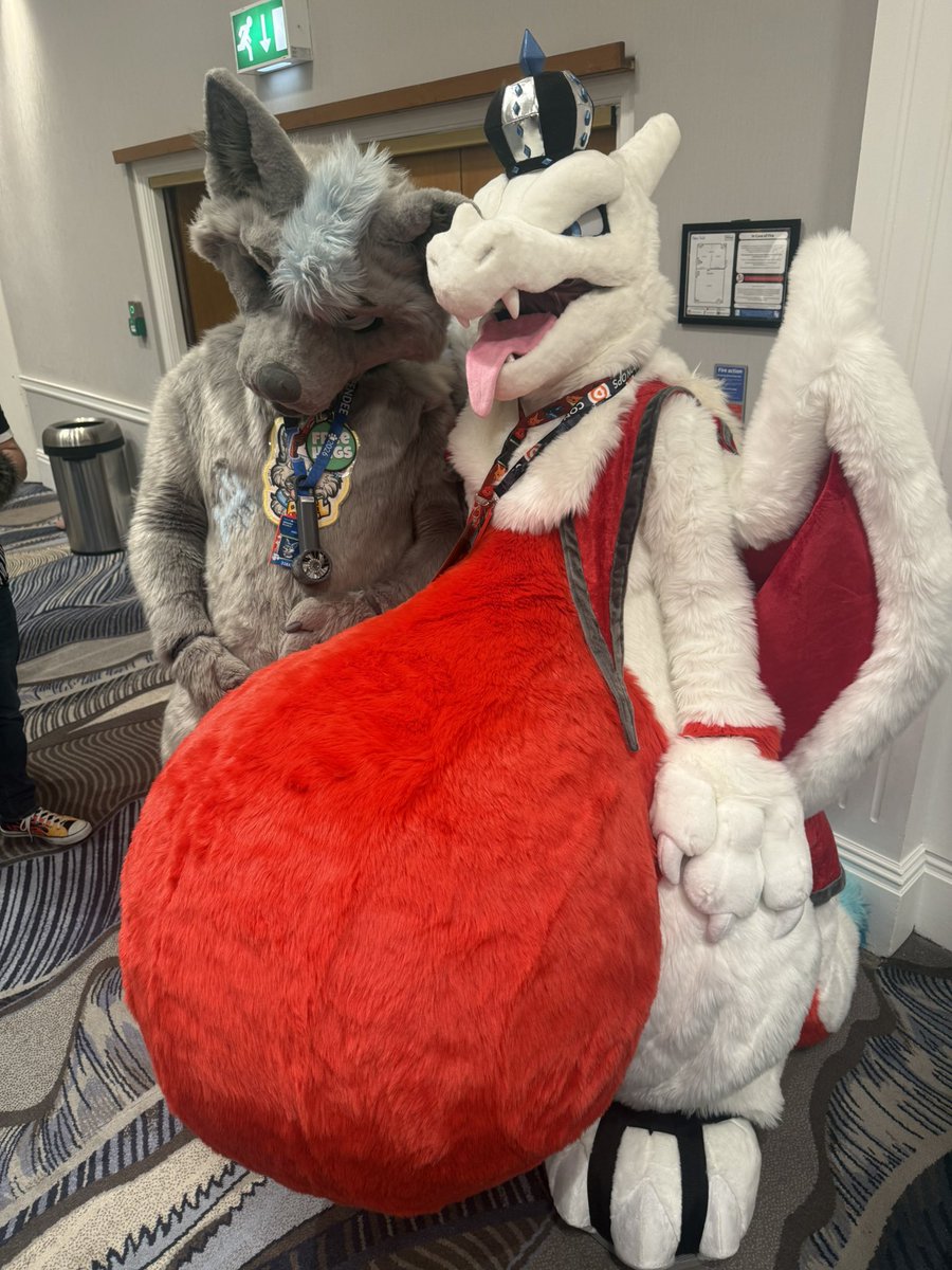 DrakeZard's tweet photo. Now I don’t know peoples handles, but here’s quite a few photos of most people that got snapped with me ⬇️ https://t.co/TguwOpMiHE