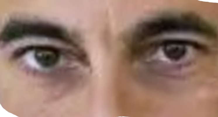 bigzigs's tweet photo. @DebbieP17375 The eyes alone match. https://t.co/zUAo4eQ47Q