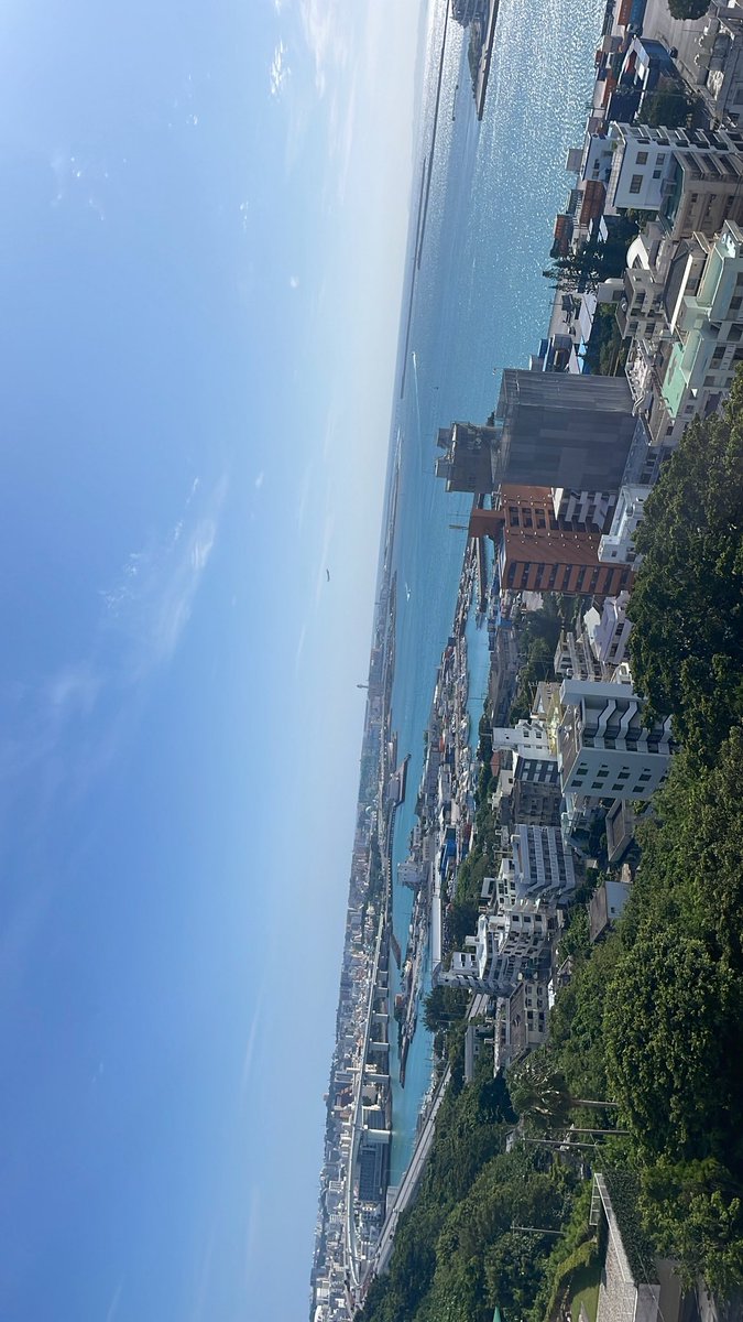 87nonou's tweet photo. 今年は入院しない‼️‼️‼️

でも景色だけは抜群すぎる← https://t.co/XBMmGD0w5T