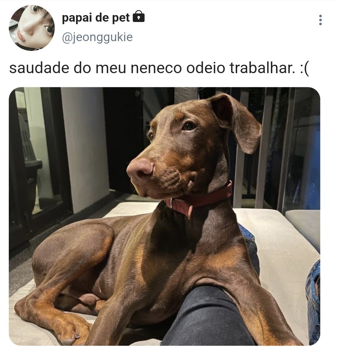 tinymusev's tweet photo. #taekookau cão pra dois 

Onde Taehyung finalmente conseguiu um trabalho home office mas não consegue fazer sequer uma reunião sem o doberman do vizinho atrapalhar com seus latidos.

Ou

Onde Jungkook precisa desesperadamente de alguém pra cuidar do seu filho carente. https://t.co/LxQIyVNPgd