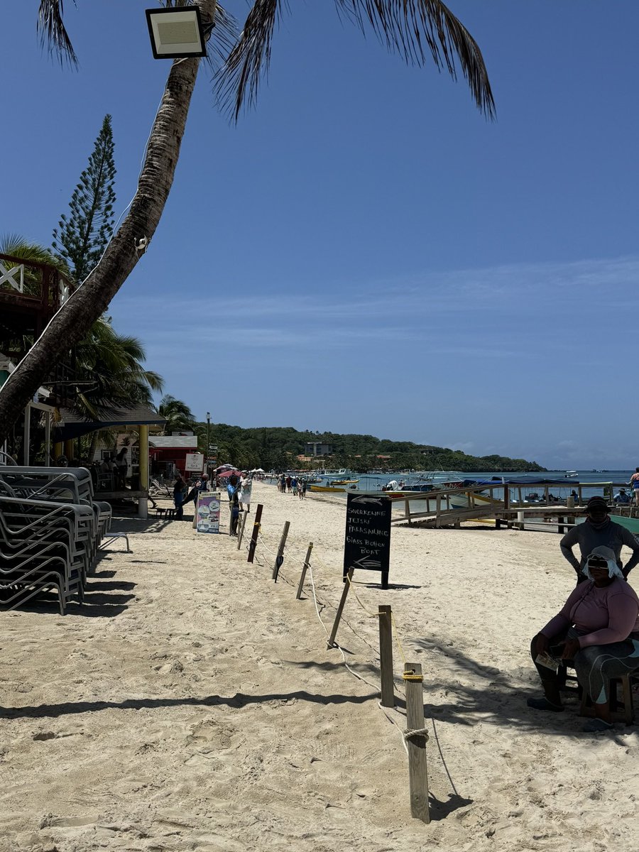 dtxplants's tweet photo. @BuhrandonL @Generally_aware @pryvvik @johnnymaga I’m in Brazil on vacation dude 😂 https://t.co/90n0GjQywx