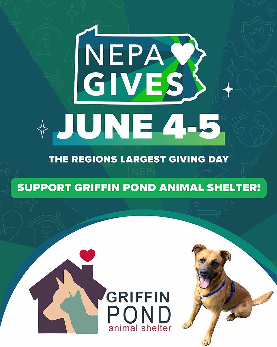 rocky985's tweet photo. Game on! Text GPAS to 844-844-6844 to make a difference at Griffin Pond Animal Shelter. 💚💙 #nepagives #adoptdontshop https://t.co/b9PEu5Nu3u