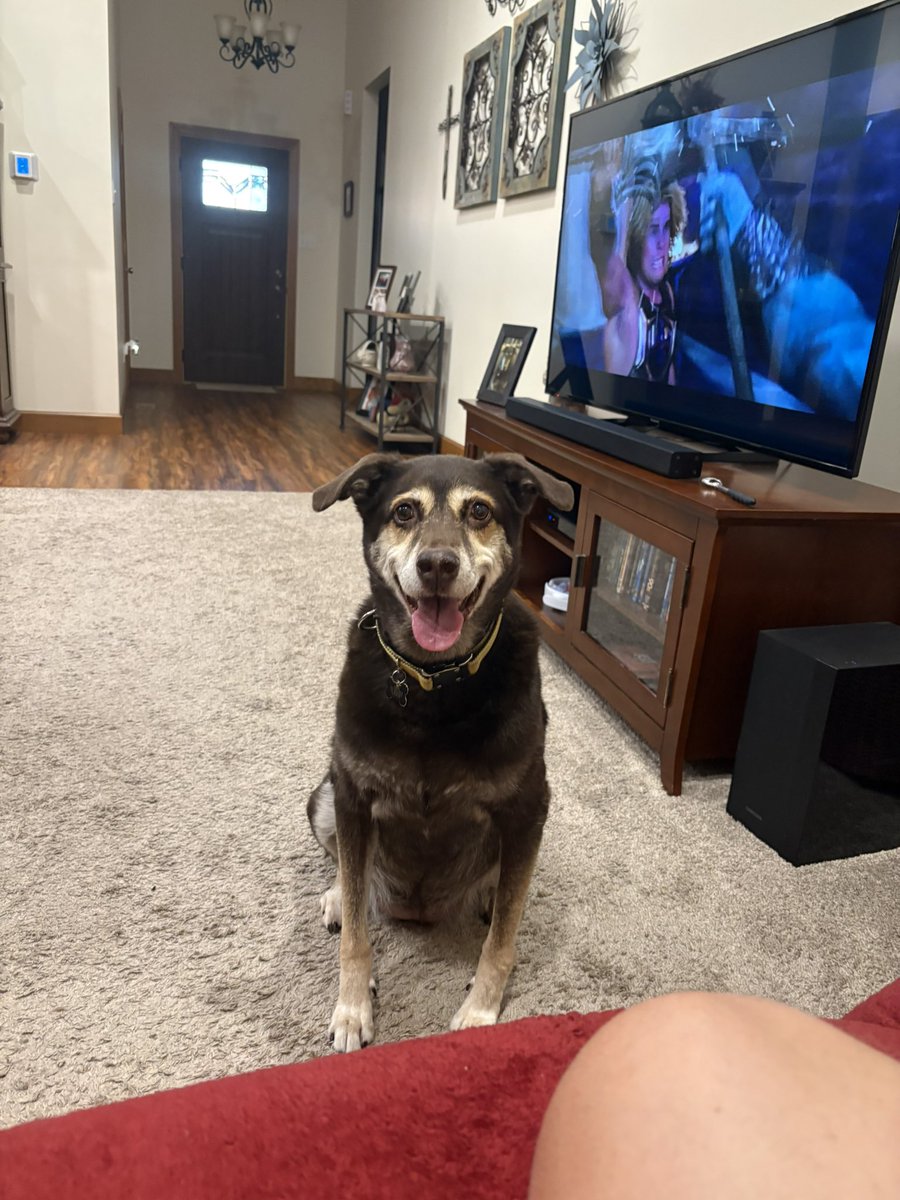 brkolo's tweet photo. I know that many of you (read as most of you) follow me because of my sports sidekick, Reese. Unfortunately, my perfect pup unexpectedly crossed the rainbow bridge, yesterday. She was there for every #Purdue game, every NCAA tournament, every sports moment of the last 10 years. 

I am absolutely gutted. She was my best friend. The best snuggler. Loved victory treats and post game belly rubs. 

I thank the Lord for the blessing of placing her in my life. I will miss her forever.

Hopefully she will be anxiously waiting for me at the Pearly Gates, like she would wait for me to return after work. 

Until that day, rest easy my perfect little angel.