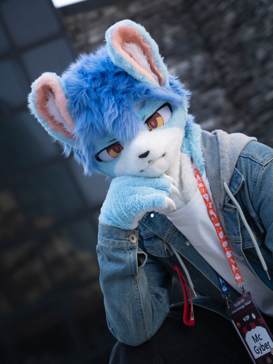FurGyber's tweet photo. #FursuitFriday 
...(지그시)
📷: @DAE_JEON_ https://t.co/BrDN41tBw1