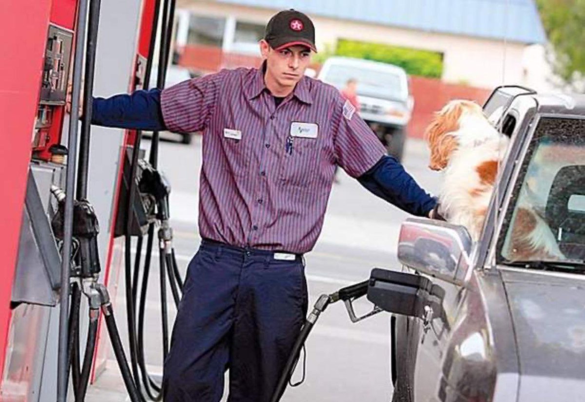 texasguyaf's tweet photo. @ErikUnchained Gas pump jockey https://t.co/XAH092Wqz4